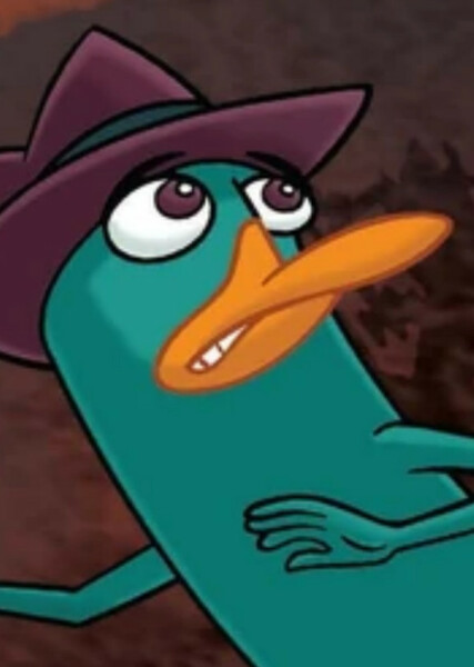 Perry the Platypus photo