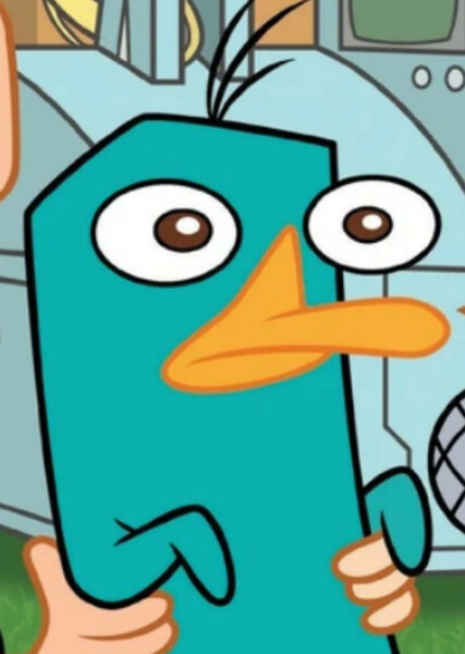 Perry the Platypus photo