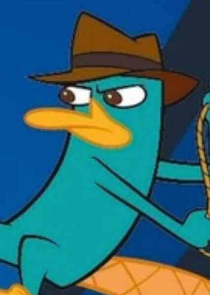 Perry the Platypus photo