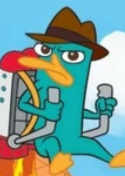 Perry the Platypus photo
