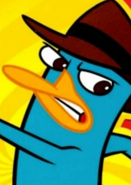 Perry the Platypus photo