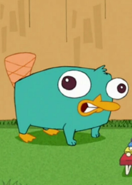 Perry the Platypus photo