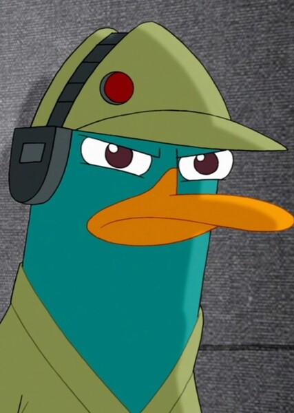 Perry the Platypus photo
