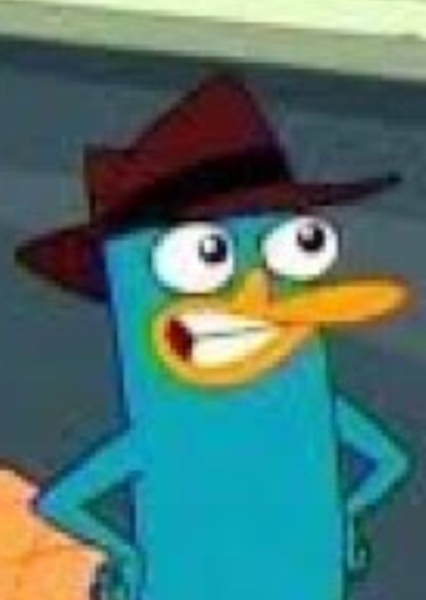 Perry the Platypus photo