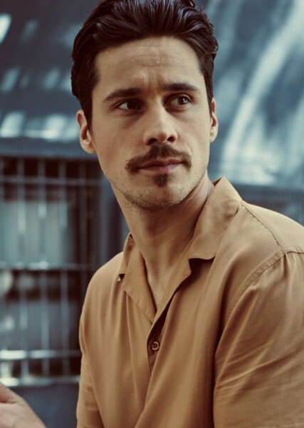 Peter Gadiot photo