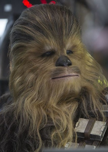 Peter Mayhew photo
