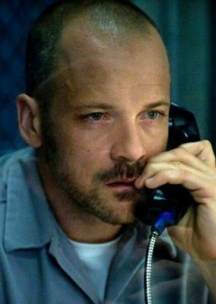 Peter Sarsgaard photo