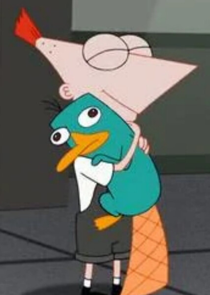 Phineas Flynn (2nd Dimension) photo
