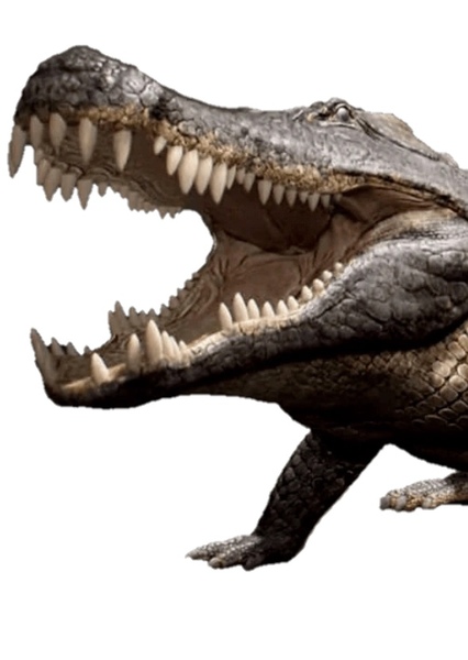 Phobosuchus