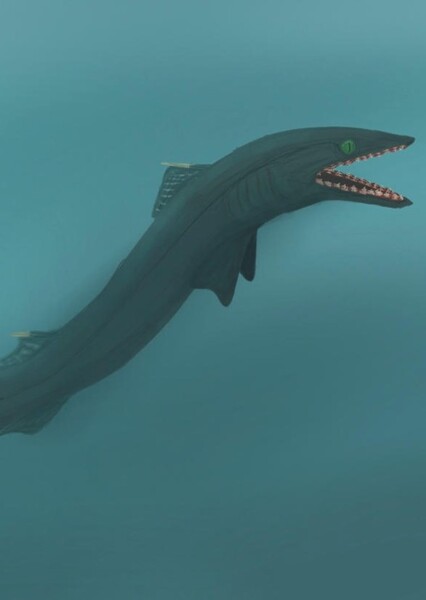 Phoebodus