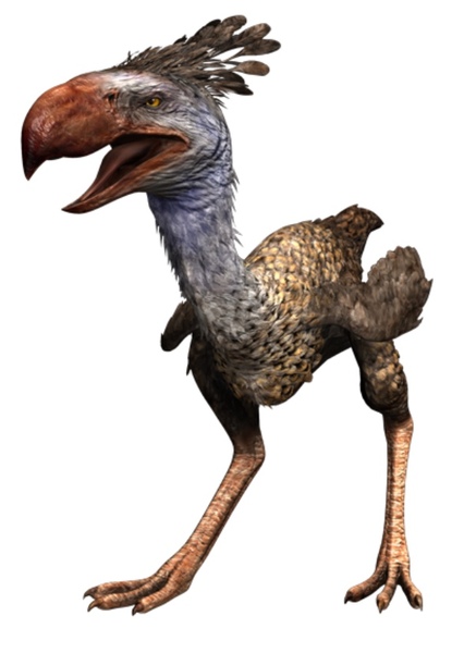 Phorusrhacos photo