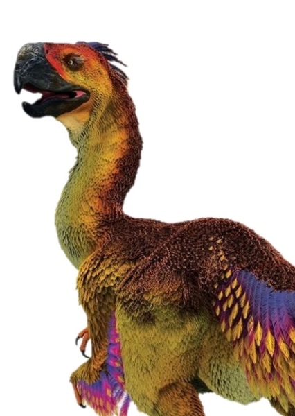 Phorusrhacos photo