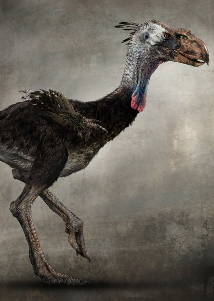 Phorusrhacos