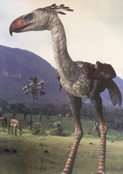 Phorusrhacos (Walking with Beasts)