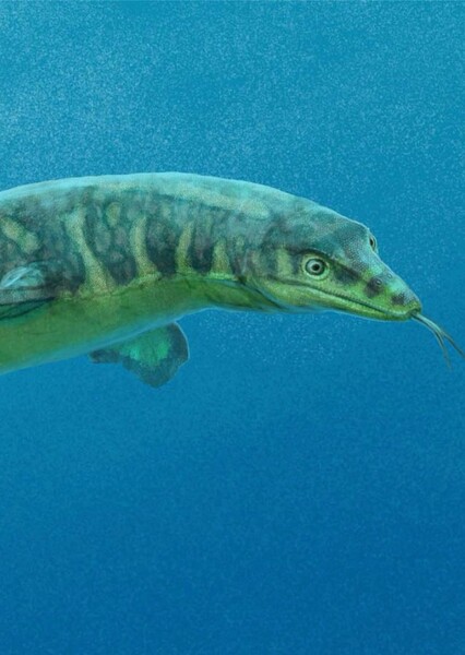Phosphorosaurus