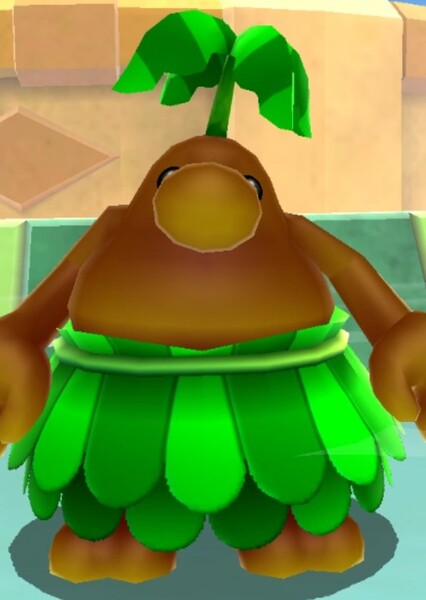 Pianta photo