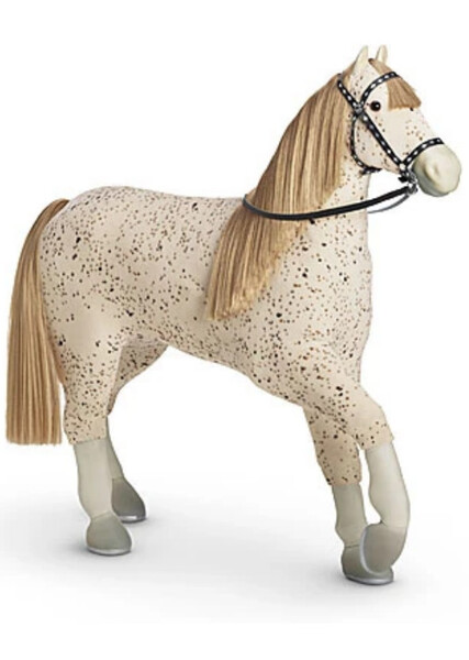 Picasso (American Girl) photo