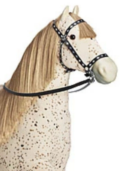 Picasso (American Girl) photo