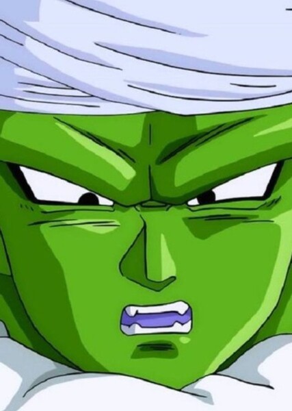 Piccolo photo