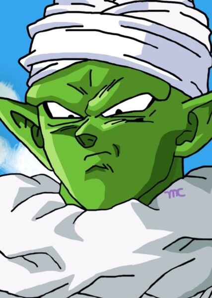 Piccolo photo