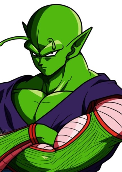 Piccolo photo