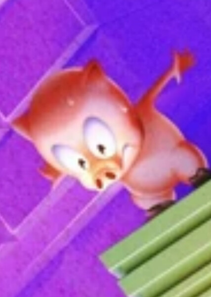 Picky (Sonic the Hedgehog) photo