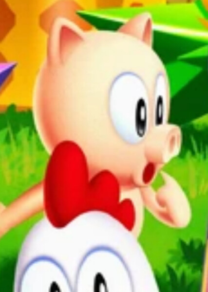 Picky (Sonic the Hedgehog) photo