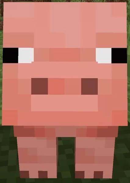 Pig (Minecraft) photo