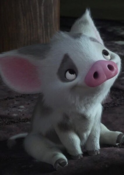 Pig Sound Effects photo