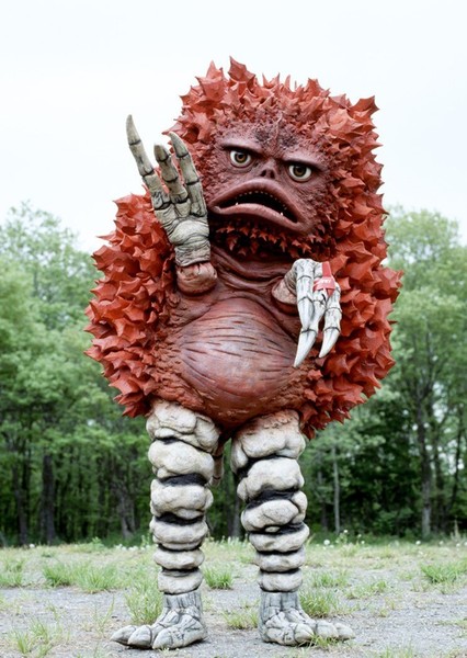 Pigmon photo
