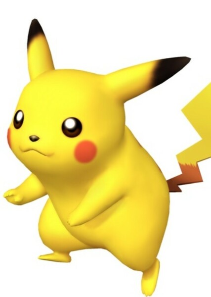 Pikachu photo