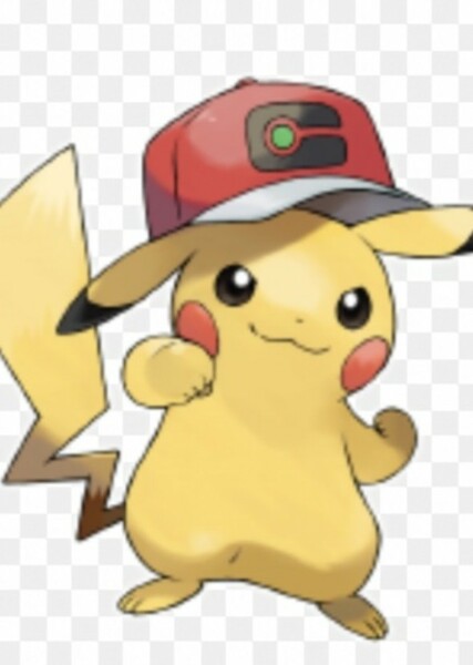 Pikachu photo