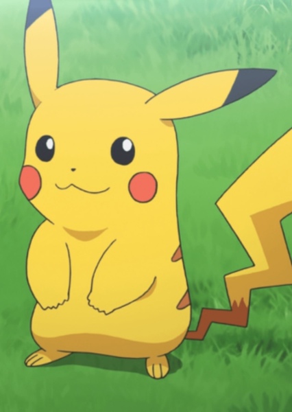 Pikachu photo