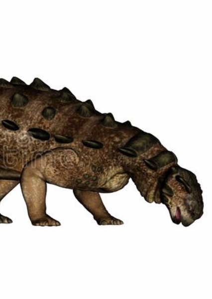 Pinacosaurus photo