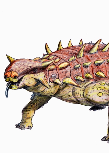 Pinacosaurus photo