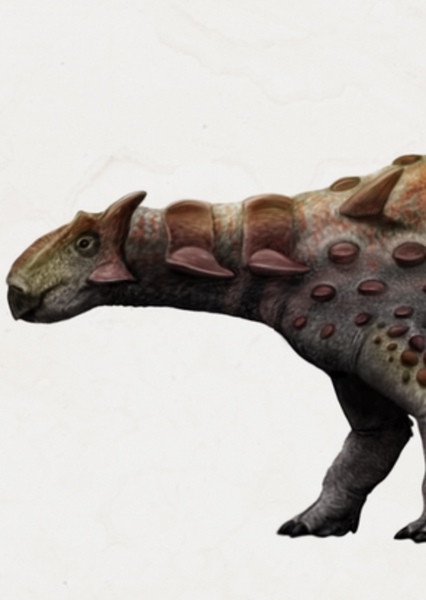 Pinacosaurus photo
