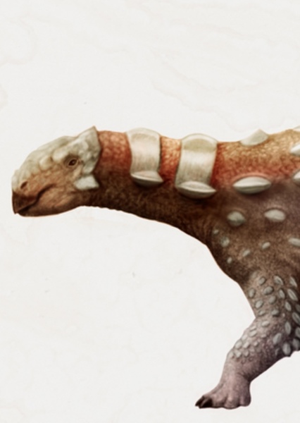 Pinacosaurus photo