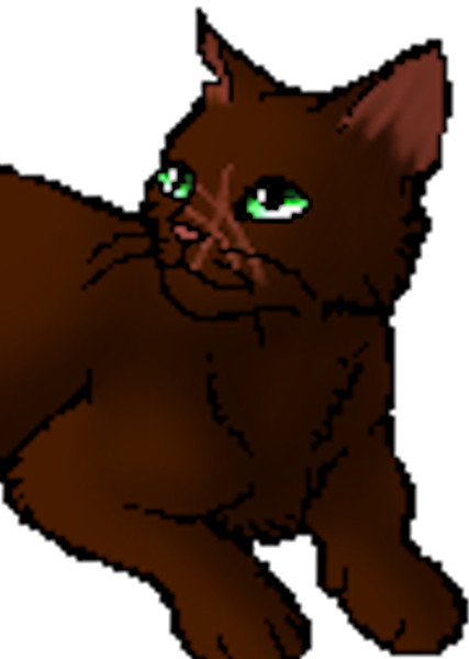 Pinestar (Warrior Cats) photo