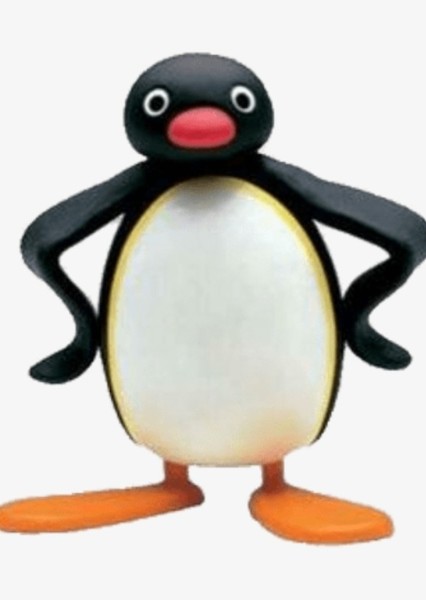 Pingu photo