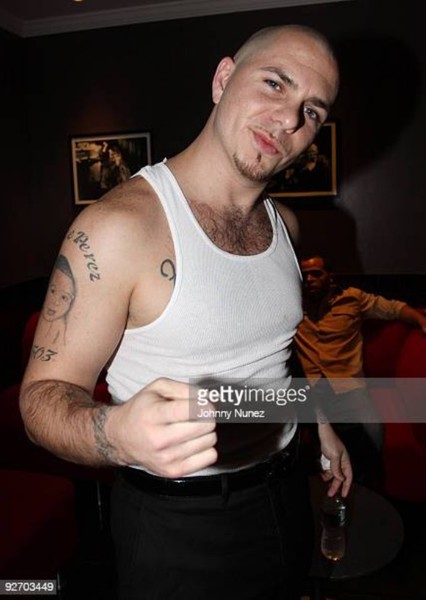 Pitbull photo