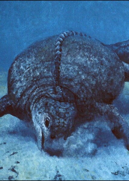 Placodontia