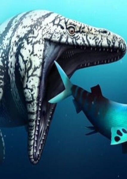 Platecarpus photo