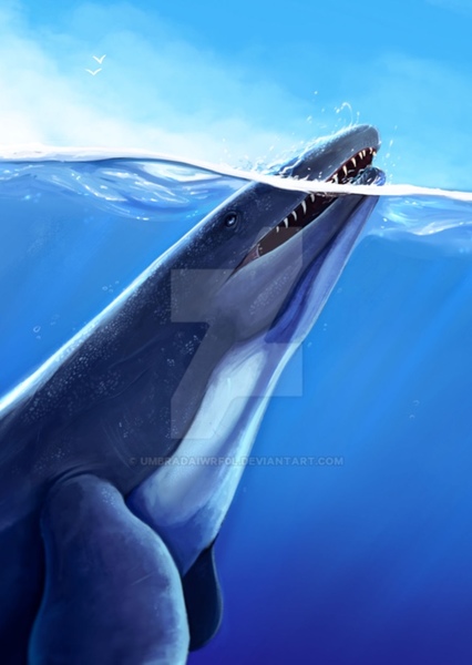Platecarpus photo