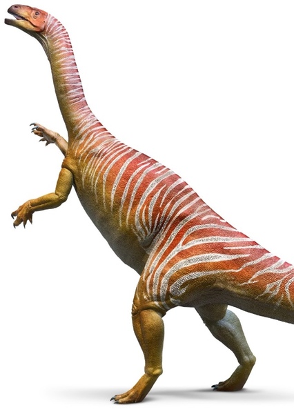 Plateosaurus photo
