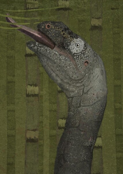 Plateosaurus photo