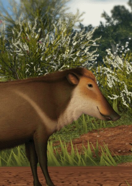 Platygonus
