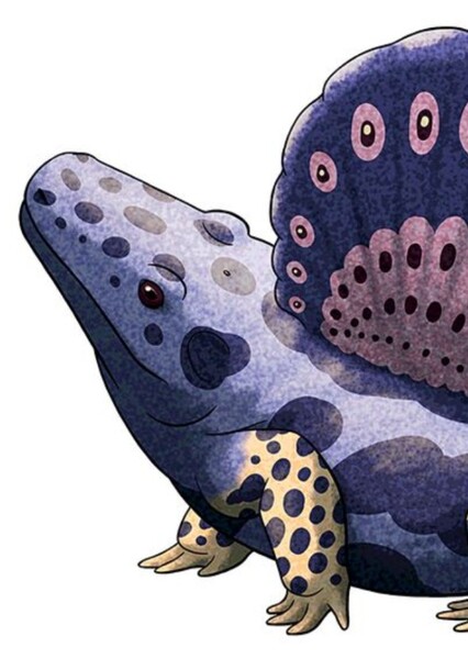 Platyhystrix