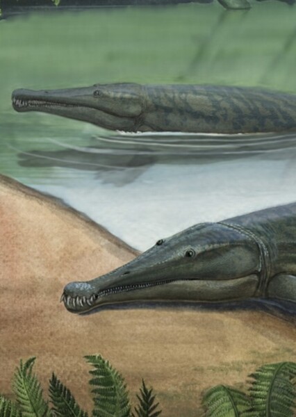 Platyoposaurus