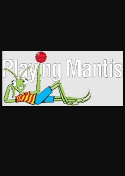 Playing Mantis (Toy Company)