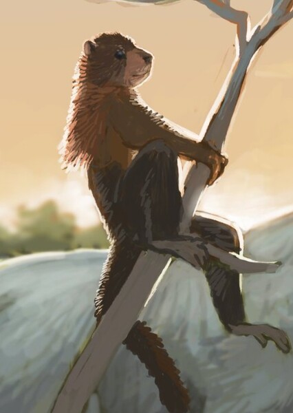 Plesiopithecus